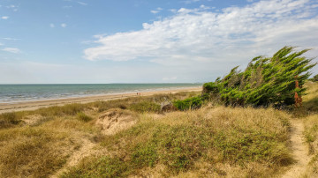 Plage de Parée Grollier