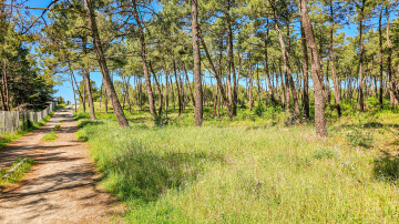 Plage de la Pointe d'Arçay
